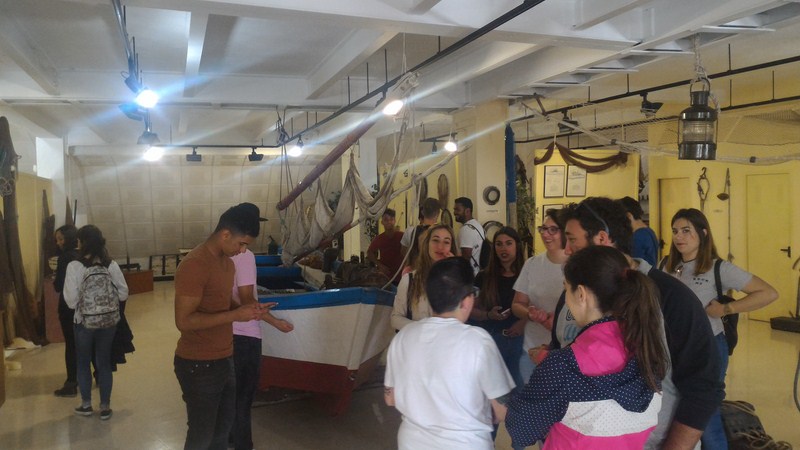 P 20170405 112254 [1600x1200]